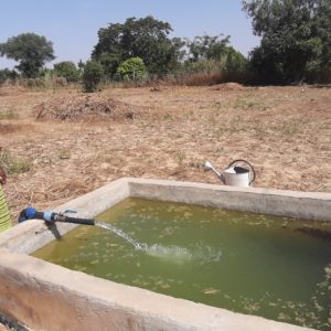 Project evaluation in Burkina Faso