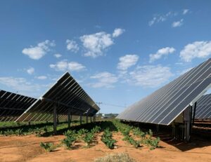 Solar Farm