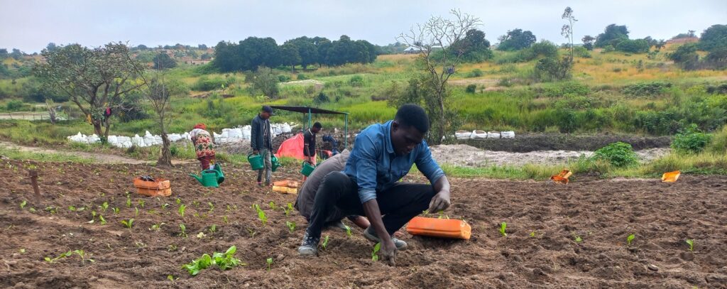 Agri-Social-Business, Chakuishi (part 2)