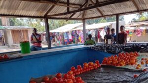 Multisector emergency response and crisis resilience evaluation
