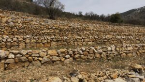 From the Apennines to the Shouf (Lebanon): Migration, Knowledge and Cultural Exchange